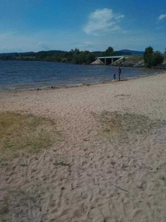 Apartman U Vrbu Černá v Pošumaví Dış mekan fotoğraf