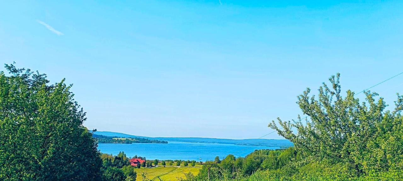 Apartman U Vrbu Černá v Pošumaví Dış mekan fotoğraf